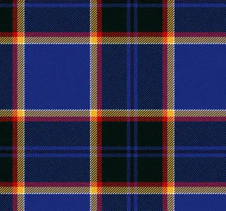 GUIDE DOGS FOR THE BLIND