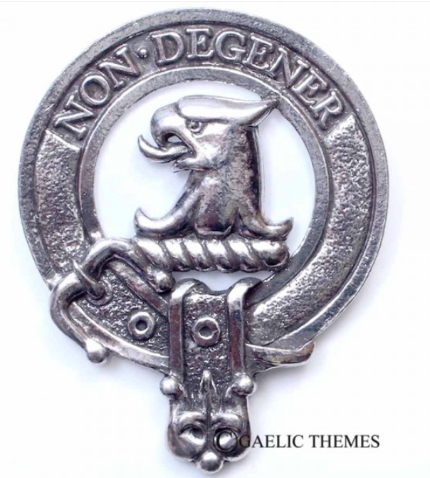Wedderburn Clan Crest Badge in Pewter showcasing the traditional belted design, perfect for everyday wear or clan gatherings, with a size of approximately 5cm x 6cm.