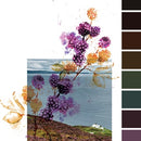 Kintyre Bramble Tartan per meter - Discounted Price