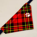 Brodie Modern Tartan Pet Bandana