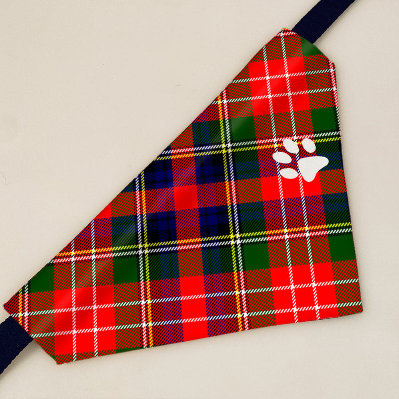 Christie Modern Tartan Pet Bandana