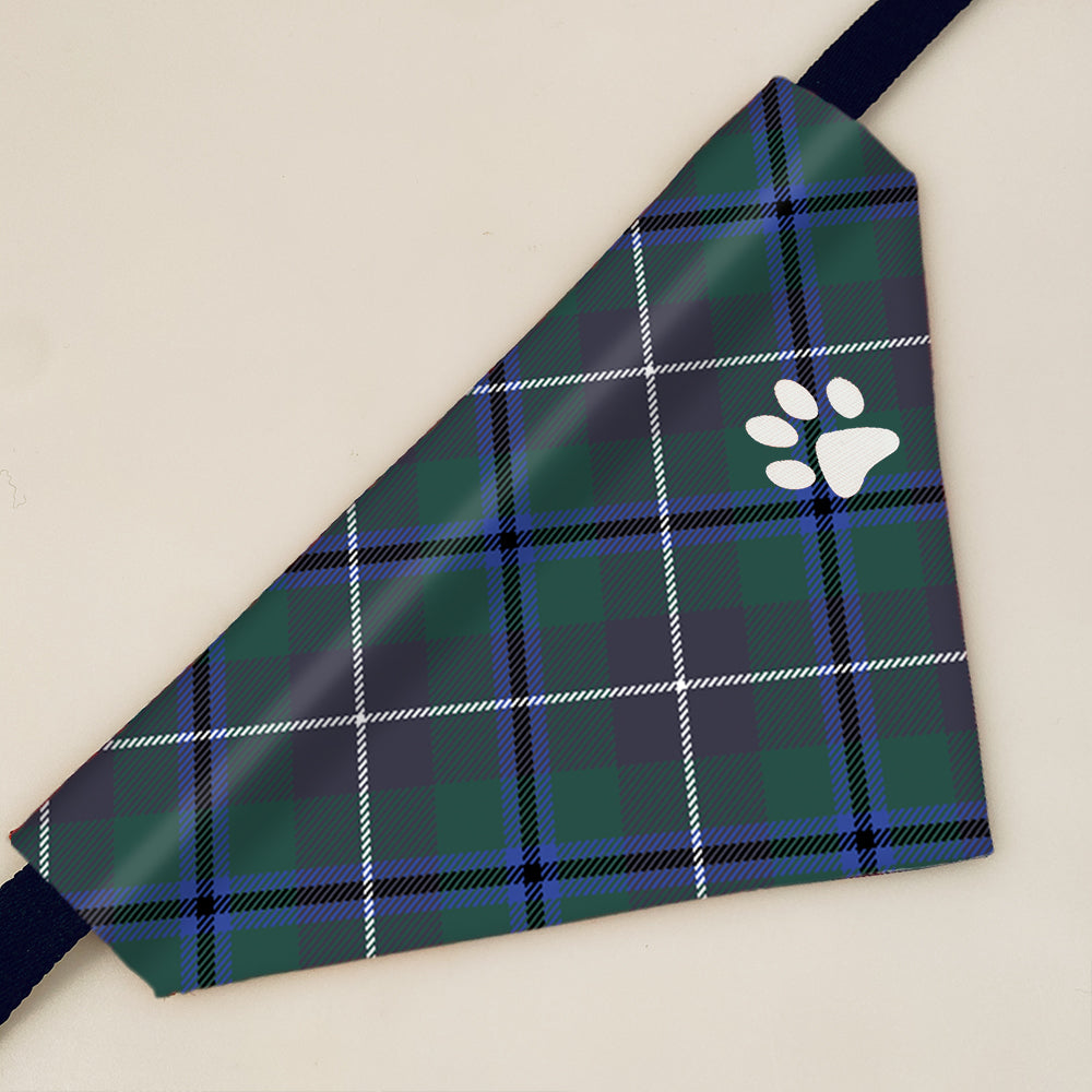 Douglas Modern Tartan Pet Bandana