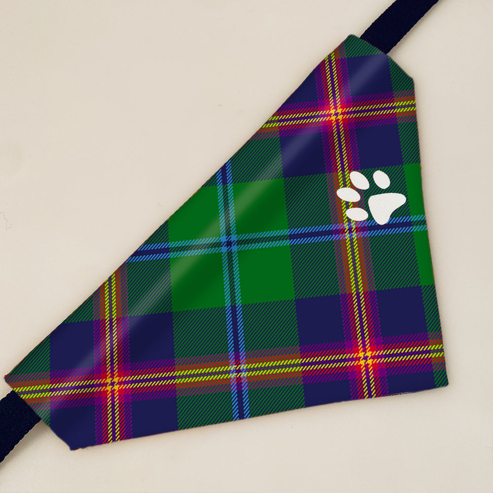 Young Modern Tartan Pet Bandana