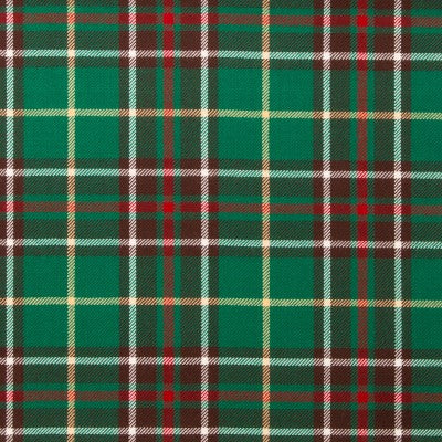 Lightweight Tartan by the Meter McNaughton - Q