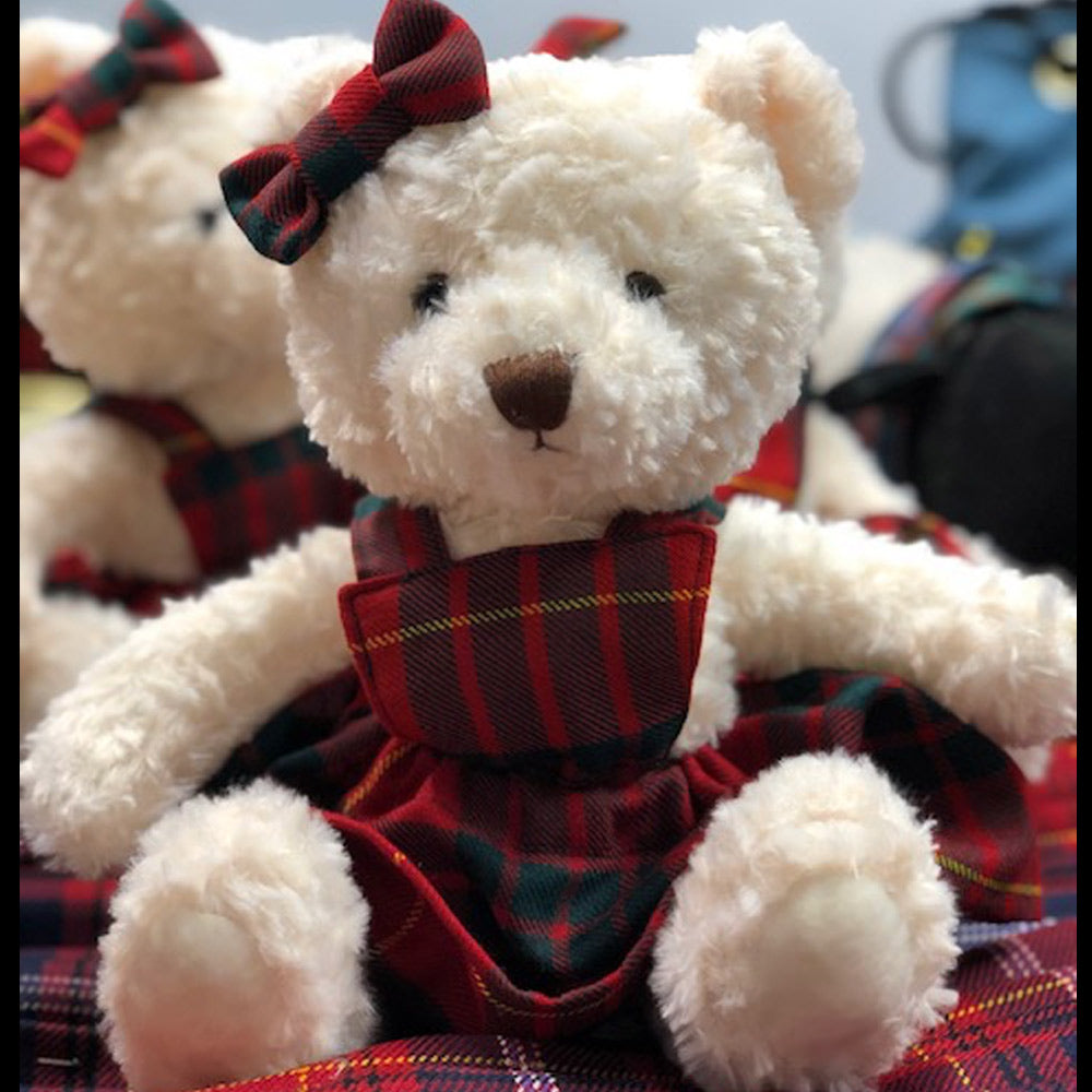 Wee Morag Ancestral Bear in Cameron Modern Tartan